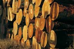 OWI-THERMOFORMHOLZ FASSADE Holz ist genial Auch an der Fassade made in Germany Buchenholz ist CO 2 neutral. Alle Buchenhölzer stammen aus nachhaltig bewirtschafteten Wäldern.