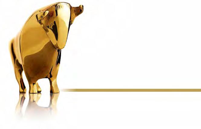 NEUES Verleihung der Goldenen Bullen»Silber für die Commerzbank bei der Finanzennacht Im Februar fand zum 26. Mal die Verleihung der»oscars der Finanzbranche«, der Goldenen Bullen, statt.