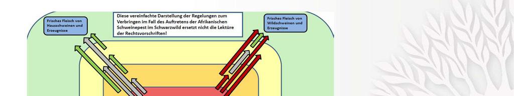 Wesentliches Problem bei