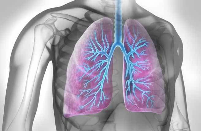 10 TiTelThema TiTelThema 11 Häufige Diagnosen und neue Behandlungsangebote Kompetenznetzwerk Chronische erkrankungen der atemwege Von a wie asthma bis Z wie Zystische Fibrose reichen die