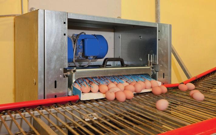 EIERSAMMLUNG EggSort der Tischantrieb für eine schonende Eiersammlung EggSort sichert einen äußerst schonenden Eiertransport, da es praktisch keine Übergabestelle gibt.