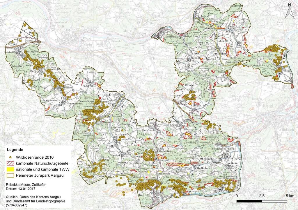 5. Wildrosen Im Jahr 2016 kartierten die Freiwilligen in den 36 Kilometerquadraten 1272 Wildrosenstandorte (siehe Karte).