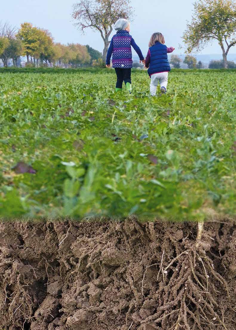 TerraLife sichert Zukunft!