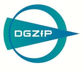 DGZfP-Jahrestagung 2013 Di.1.C.