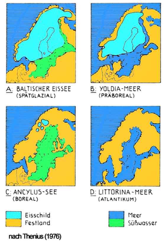 Ostsee: Ostsee-Abschmelzstadien Präboreal-Zeit Stau durch Eis jüng.