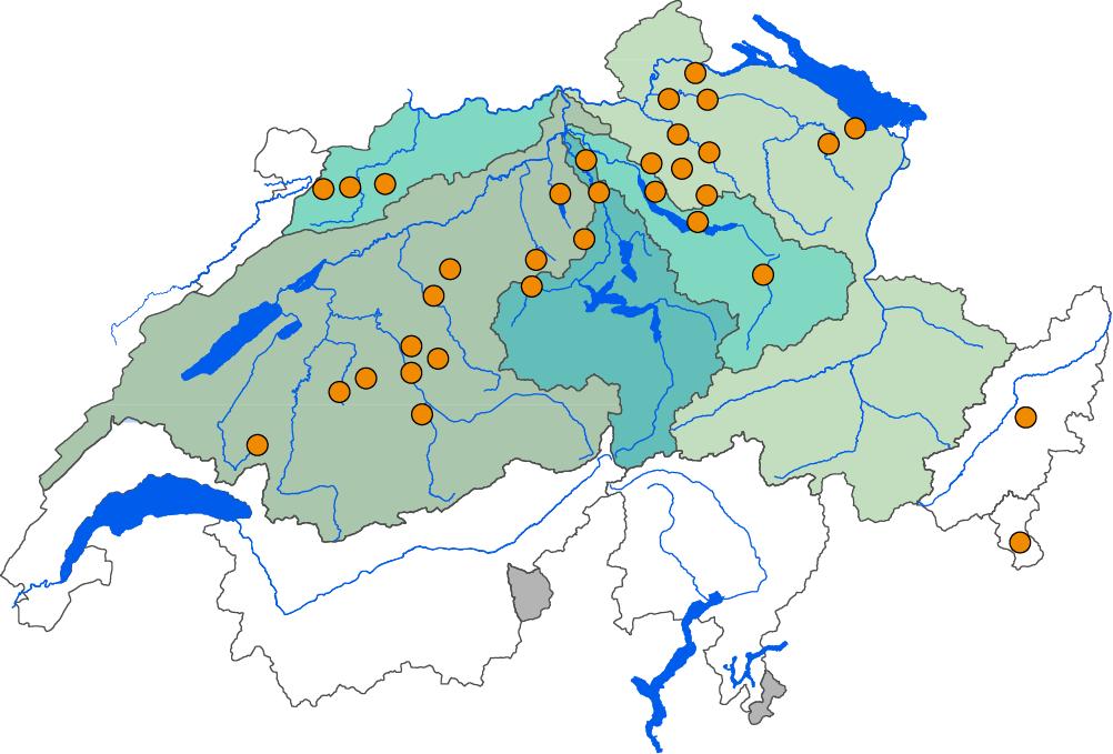 Populations-Netzwerke und Genetik Bachflohkrebs, Gammarus