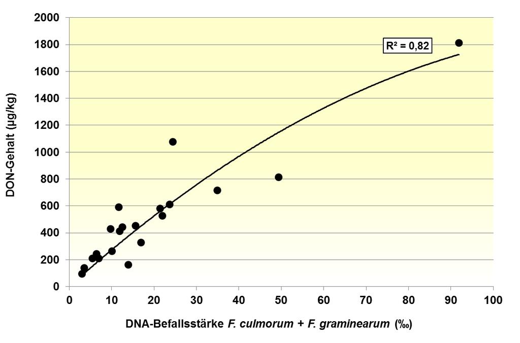 Beziehung zwischen DNA-Befallsstärke der DON-Produzenten F. culmorum und F.