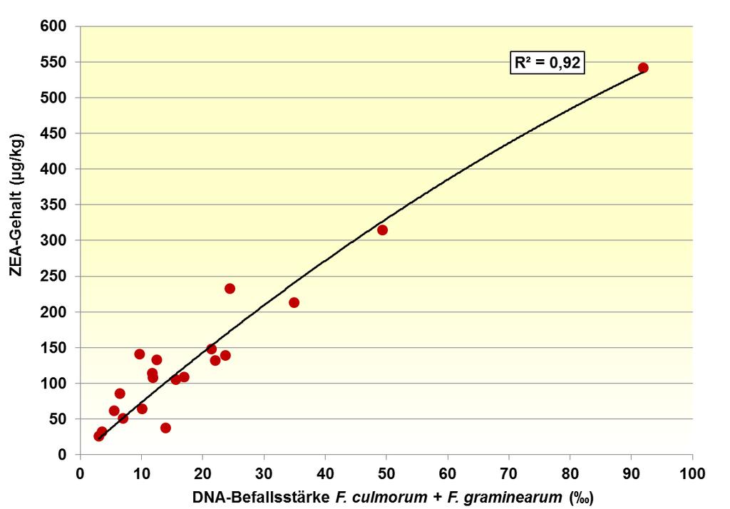 Beziehung zwischen DNA-Befallsstärke der ZEA-Produzenten F. culmorum und F.