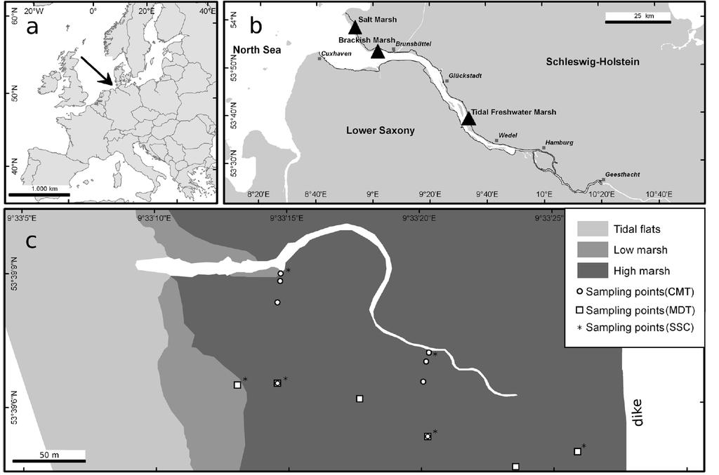 Tidebeeinflusste Marschen und Meersspiegelanstieg Erfassung von Sediment- Deposition in zwei-wöchigem Rhythmus entlang ästuariner