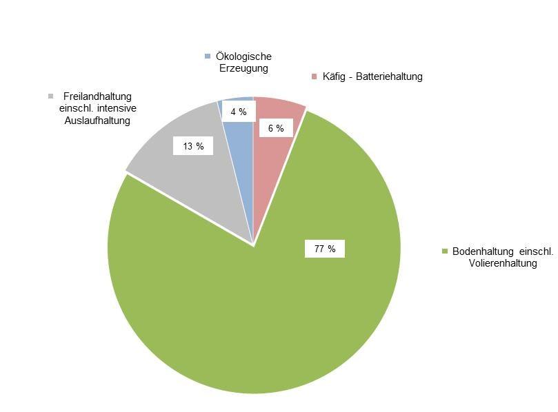 6. Hennenhaltungsplätze 1 nach Haltungsformen in Schleswig-Holstein im Dezember 2013 1 in Betrieben mit mehr