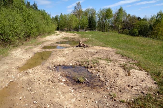 3 Nr. im Plan Struktur Zielart Massnahme Zeit Frequenz Setzen von Dornsträuchern (Kreuzdorn, Neuntöter, 14 Hecke Sanddorn, Schwarzdorn, Heckenrose, Herbst einmalig etc.