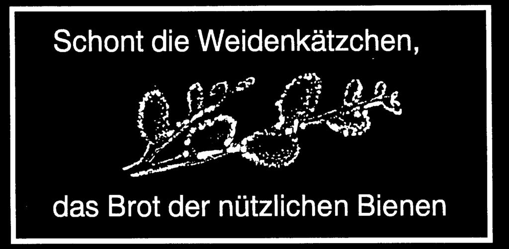 Treffpunkt: 18:30 Uhr im Pfarrheim Vereinsring Neuhütten 2001 e. V. Einladung zur Jahreshauptversammlung am Mittwoch, den 26. März 2014 um 20.