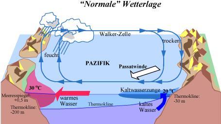 Unterschied der Wassertemperatur zwischen der Küste Indonesiens und der Westküste Südamerikas sorgt und als Grundlage für die Walkerzirkulation dient 3. 2.1.