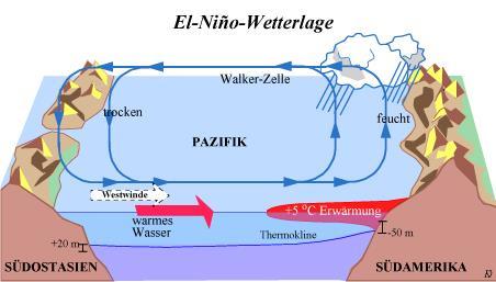 2.2 Die Wetterlage im Pazifik in einem El Niño Jahr Abbildung 2: Bildungswiki Klimawandel: Die Zirkulationsverhältnisse bei El-Niño-Wetterlage, Quelle: http://wiki.bildungsserver.de/klimawandel/index.