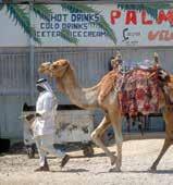 Akaba Petra Maan JORDANIEN Eilat Akaba