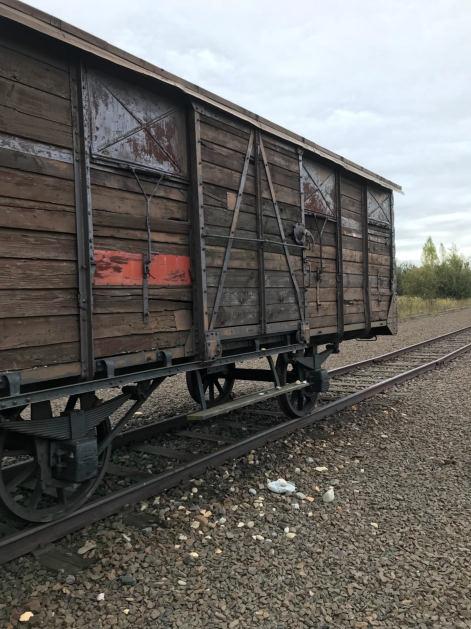 Am Freitag teilten wir uns zunächst in zwei Gruppen auf und nahmen an zwei verschiedenen Workshops teil (Workshop I: Täterfrage und Workshop II: Kunst- Ausstellung einer Holocaust-Überlebenden).