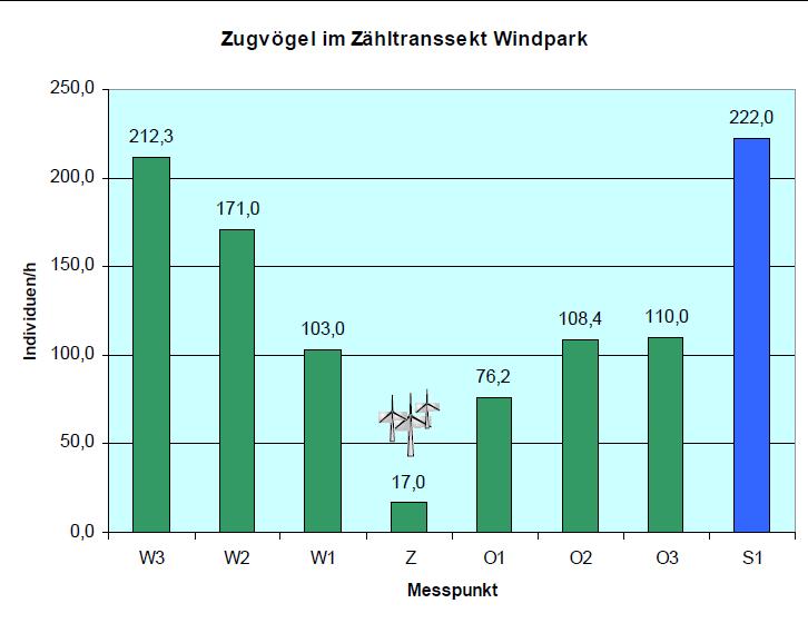 Vogelzug am Windpark Vetschauer Berg: Ergebnisse der Transsektzählung die meisten Zugvögel weichen aus; ein