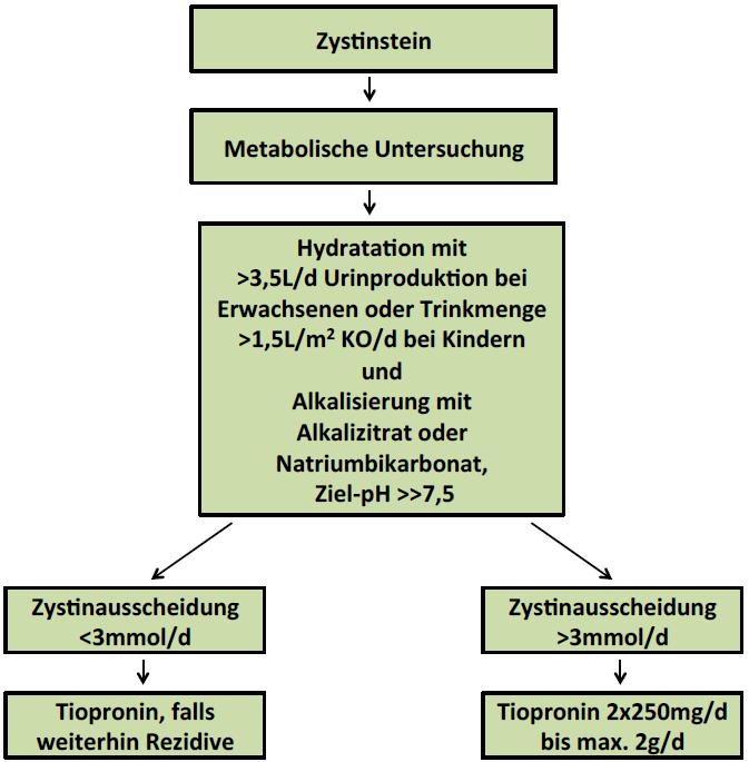 2.7. Seltene Harnsteine Es gibt darüber hinaus seltene Steinentitäten wie zu Beispiel Xanthinsteine, 2,8-Dihydroxyadeninsteine, Matrixsteine und sehr selten medikamentöse induzierte Steine.
