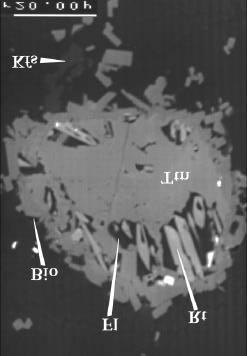 Experimentelle Ergebnisse 54 Bei Bedingungen von 15kbar und 75 C konnte um den Titanit ein Reaktionssaum von Rutil, Biotit und Fluidphase beobachtet werden (Abb. 9.14, links).