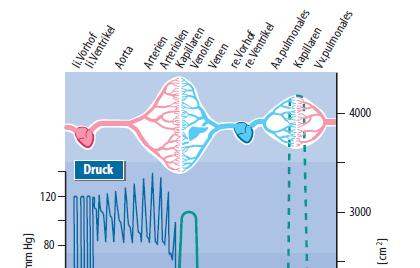 Verteilung des Druckes Der Druckabfall ist in den