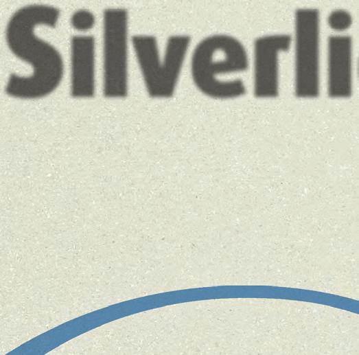 erklärt der Autor detailliert die einzelnen Funktionen von Silverlight wie den Einsatz von Brushes zum Zeichnen und Paths für