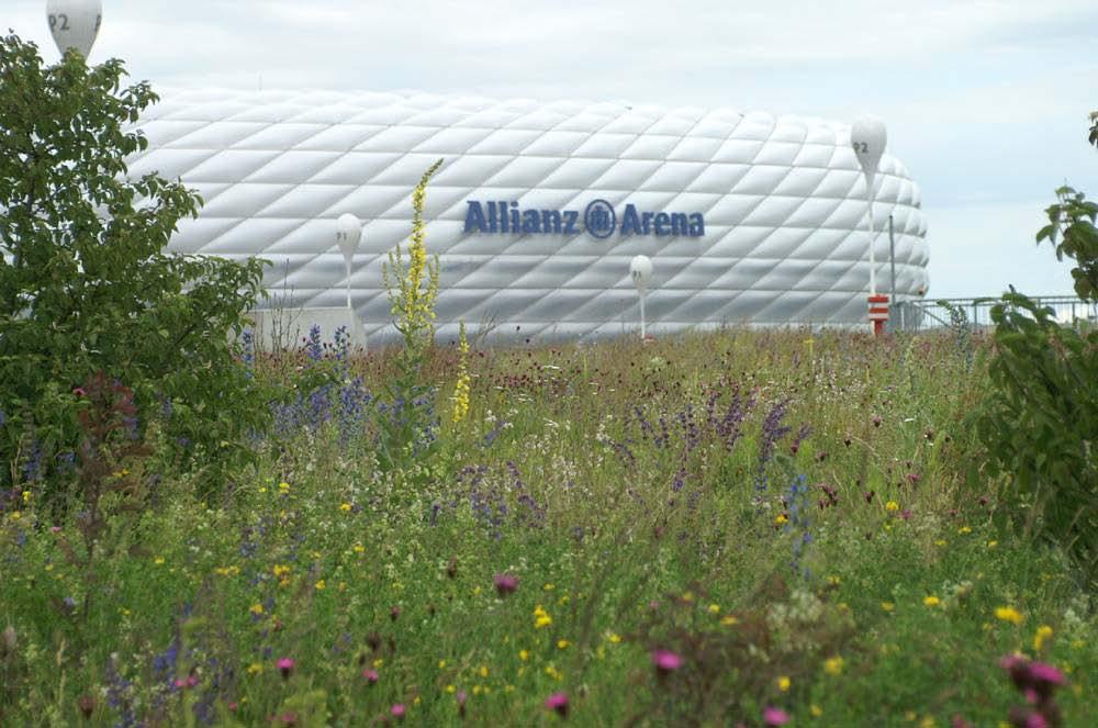 Umsetzungsbeispiele Allianz- Arena München