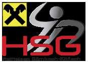 SG INSIGNIS Handball