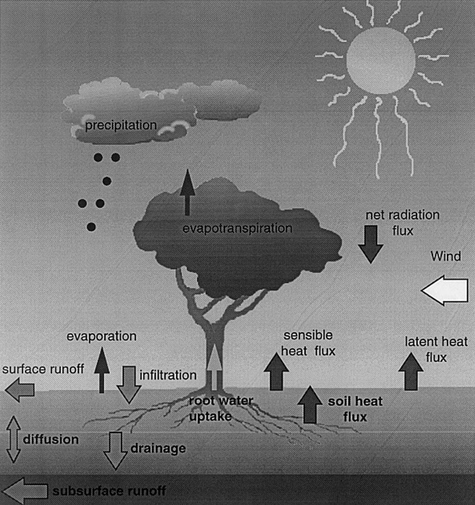 SVAT - Modellierung: SEWAB Atmoshäre: Bulk Ansätze, Widerstandsansatz für latenten Wärmestrom Vegetation: Stomatärer Widerstand (Pinty et al.