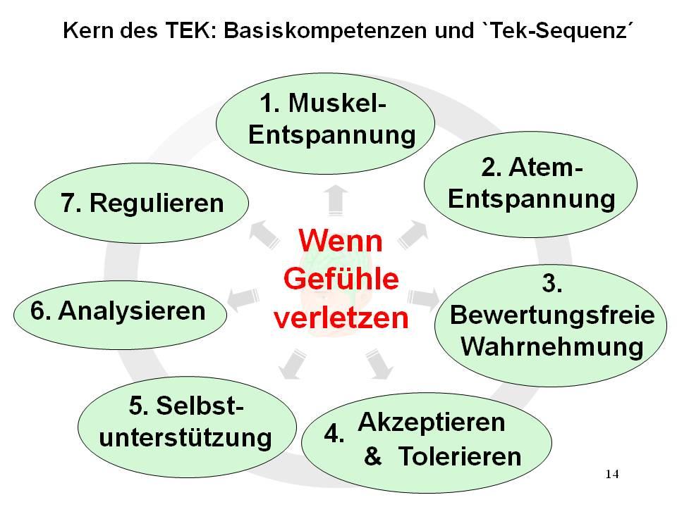 Grundstruktur des TEK Theorie:. Information 2. Orientierung 3.