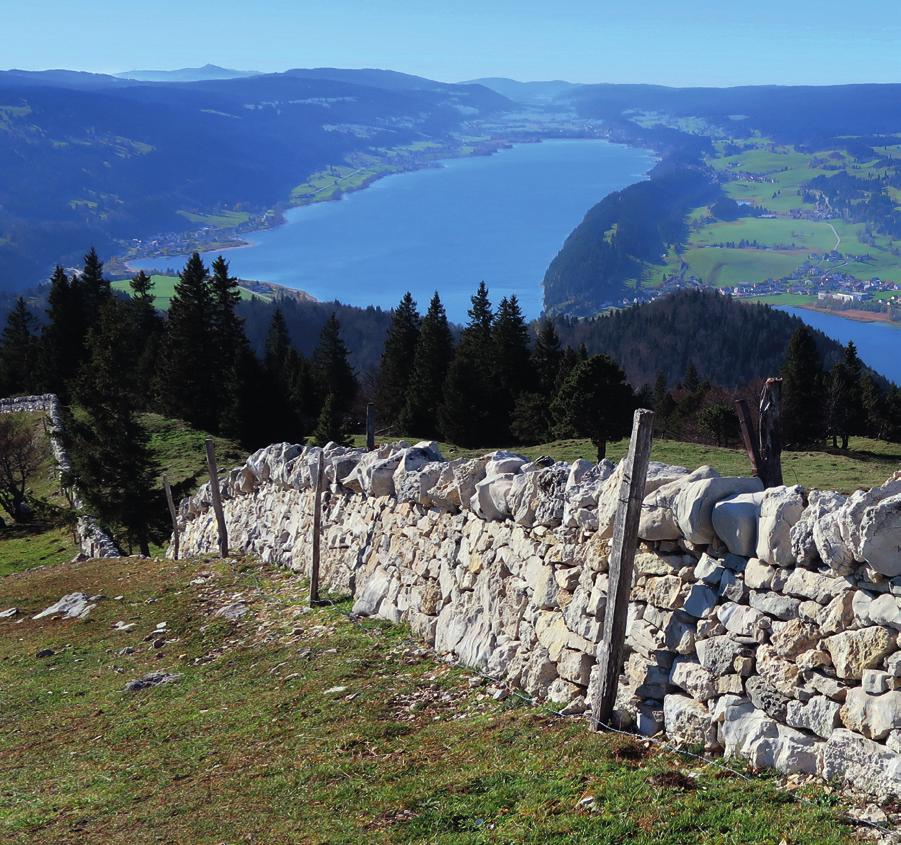 Bezaubernde Juralandschaften und herrliche Ausblicke aufs Mittelland und die Alpenkette begleiten uns auf der gesamten Wanderung (9 km, 500 m auf, 500 m ab, 3 h).