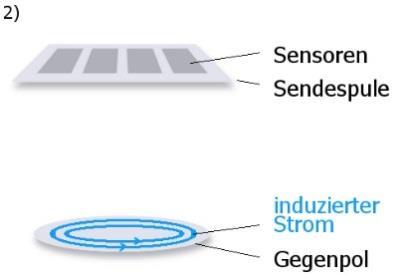 2 Sendefeld In der Sonde des MIT-SCAN-T3 sind eine Sendespule und vier Sensoren angeordnet (s. Abb. 2 Sendefeld).