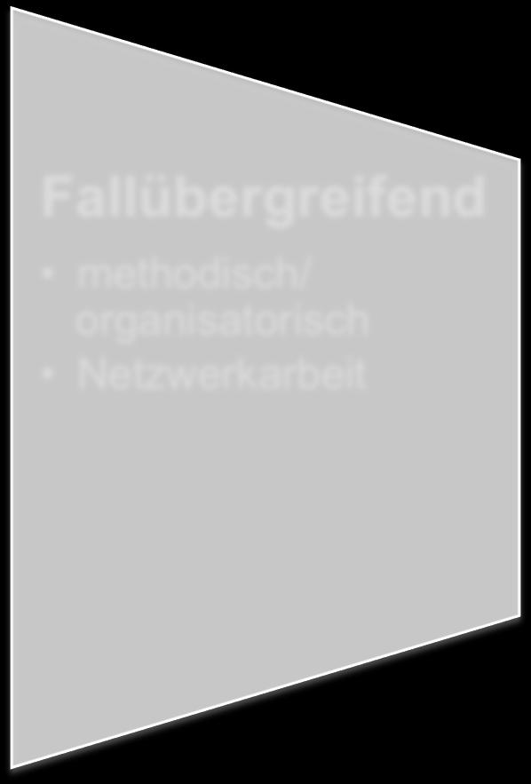 Fallsteuerung methodisch/ organisatorisch Netzwerkarbeit