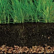 Die Kraft natürlichen Bodengrundes 1 Schicht: Die Kraft der Nährstoffe Nährstoffe organischen Ursprungs fördern nicht nur das Pflanzenwachstum, sondern auch das Wachstum von Mikroorganismen.