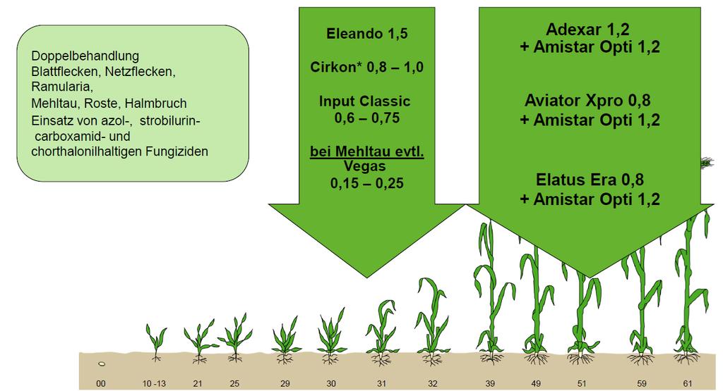 Fungizidempfehlung Wintergerste, hohes Ertragsniveau, zweimalige Behandlung *Zulassungsende: 31.01.