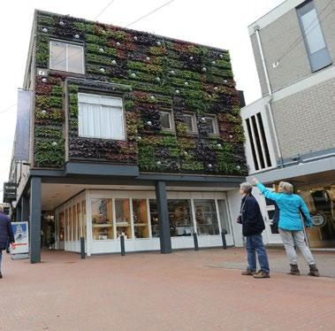 LivePanel is een duurzaam living wall -systeem voor zowel binnen als buiten. De zogeheten living walls, ook wel groene wanden genoemd, nemen enorm in populariteit toe.
