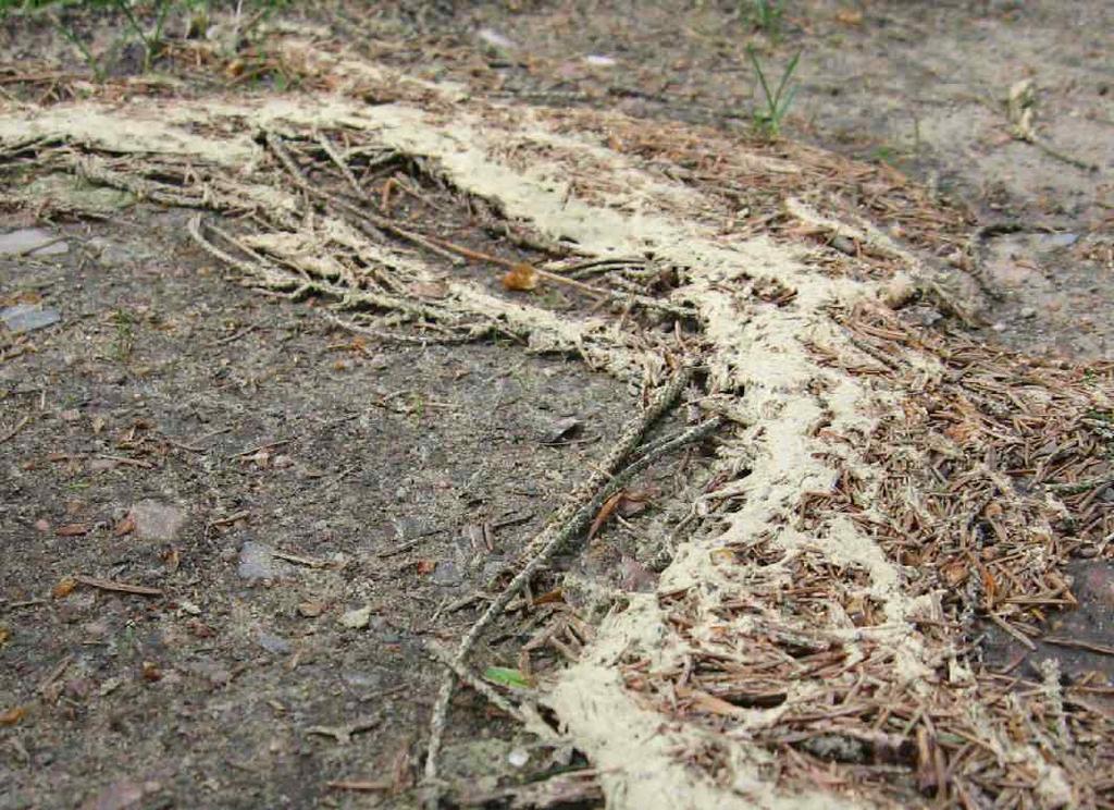 Chronische Belastungen beachten und verringern