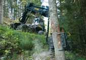 Als Tiroler Familienunternehmen wollen wir unsere Zusammenarbeit mit den Waldbesitzern und