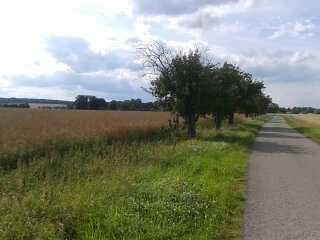 in mir bewegen, nach Stille und Frieden, hat seid Anbeginn