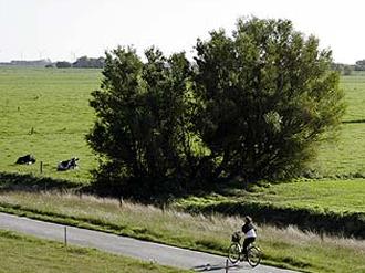 Länge: 83,37 km Steigung: + 46 m / - 44 m Start: Dornum, Hotel Herrlichkeit Verlauf: Norden, Greetsiel, Pilsum, Manslagt, Rysum, Ziel: Emden, Bahnhof Überblick Tour durch das westliche Ostfriesland.