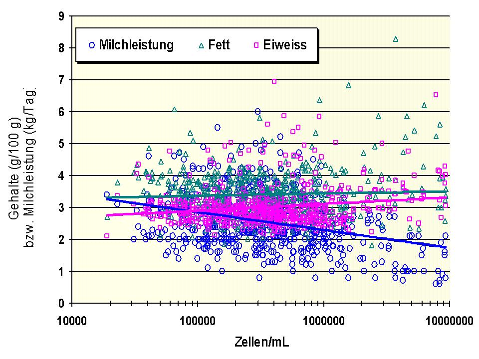 Zusammenhang zwischen Zellzahlen und