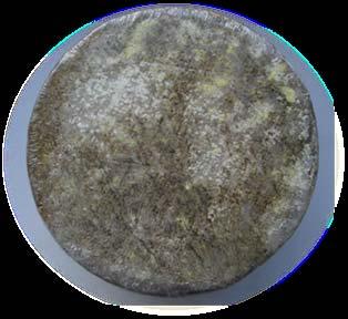Rotschmiere (0,8-2,5 kg)