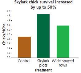 Skylark plots (AB4) 24/ha ( 12/Fenster, mind.