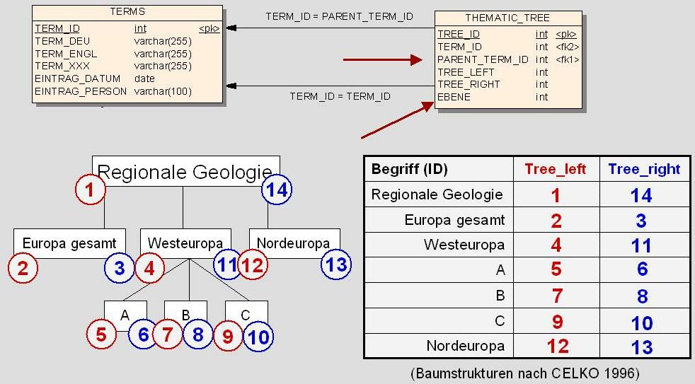 Aufbau des hierarchischen Baums 29.