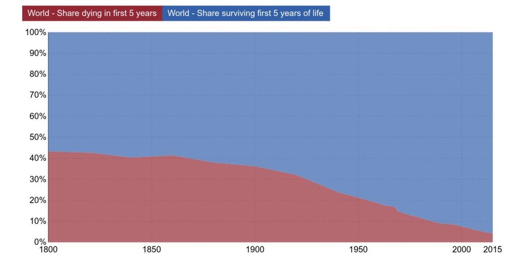 World Share surviving first 5 years