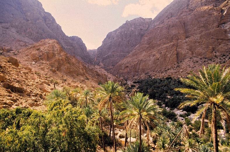 3. Tag Muscat Nakhl Al Hamra Jebel Shams Heute fahren Sie in Richtung der westlichen Hajar Berge. Direkt hinter Nakhl, Ihrem ersten Ziel, erhebt sich schon das Jebel Akhdar Gebirge.