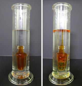 3 Schülerversuche 7 Chemikalien: Durchführung: Beobachtung: Wasser, Spülmittel, Speiseöl, Paprikapulver 5 g Paprikapulver werden in einem Becherglas unter Rühren mit 100 ml Öl vermischt. Nach ca.