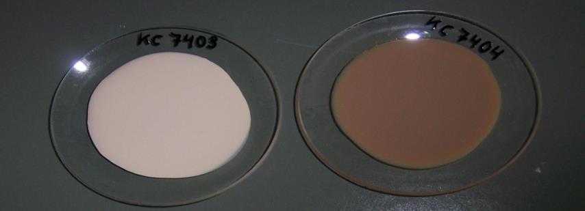 opaque, 1 µm KRONOClean K7454