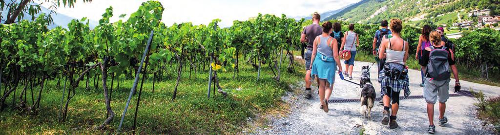 Gruppenführungen im Weindorf Salgesch Führungen in Varen Kulturführung in Leuk Weintour nach Visp Erlebnisse Visperterminen Rundwanderung Raspille In die Raspilleschlucht und zum Aussichtspunkt