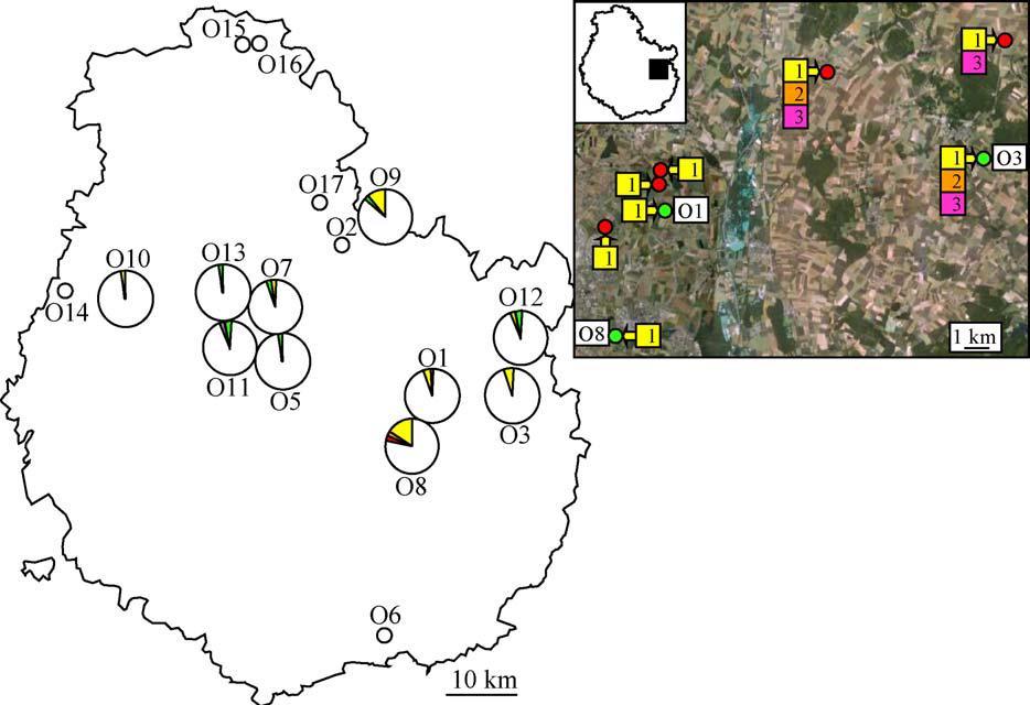 11 Fragmentierung: Frankreich Ackerfuchsschwanz In Nordfrankreich stark zurück gehend (Delye et al, Basic and