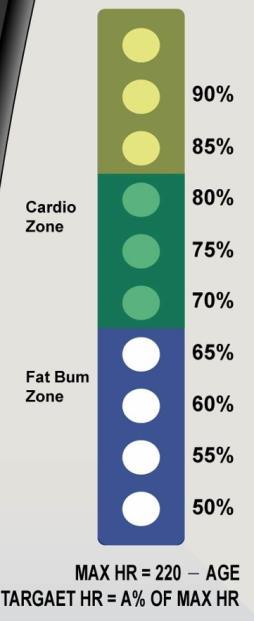 COMPUTERFUNKTIONEN (12) Kondition- & Fitness - Zielzone = 70 bis 80% der maximalen Herzfrequenz Dieser Trainingsbereich eignet sich ideal für Sportler deren Ziel eine Verbesserung Ihrer Ausdauer bzw.